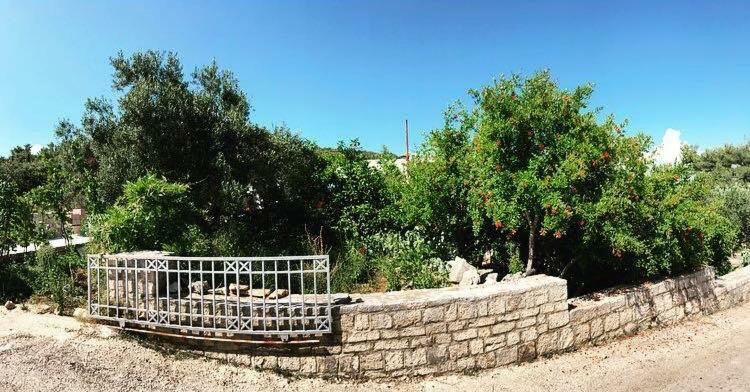 Faros Oasis Apartament